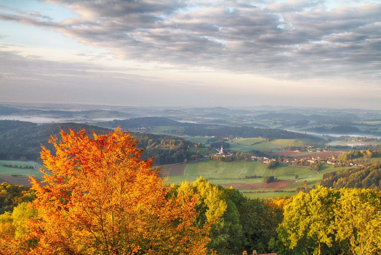 Ferienwohnungen-Bendler Freyung Exteriér fotografie
